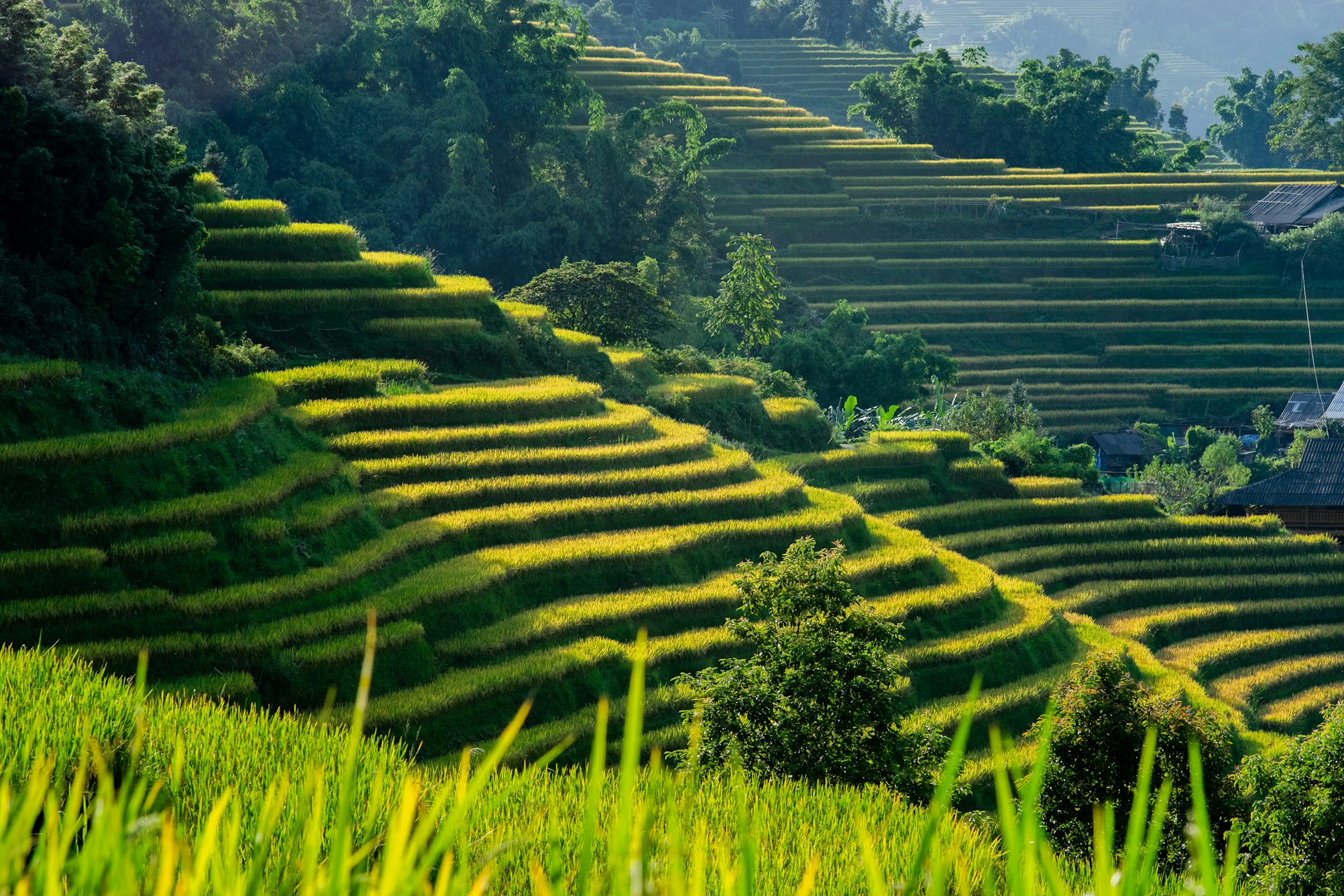 Mekong tour 6